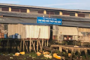 An Giang: Chợ đầu mối xả thải trực tiếp ra sông Hậu