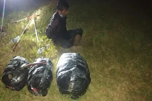 1 người Campuchia mang 20 kg cần sa qua Việt Nam