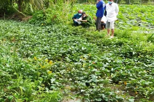 Hiện trường vụ việc. Ảnh: NHẪN NGUYỄN