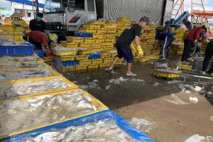 Lao động bốc vác tại cảng cá. Ảnh: HD