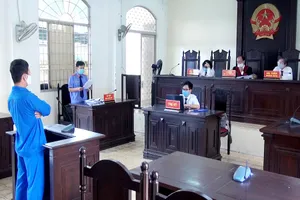 Phạt tù người cha tổ chức cho con chở người xuất cảnh trái phép