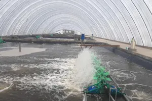 Mô hình nuôi tôm trong nhà kính của Tập đoàn Việt Úc . Ảnh: HD
