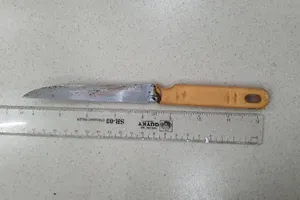 Cảnh sát bị người say xỉn tấn công bằng dao vào vùng cổ