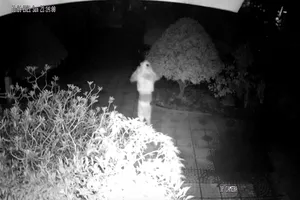 Truy tìm nghi phạm xông vào nhà đâm người, cướp tài sản ở Trà Vinh