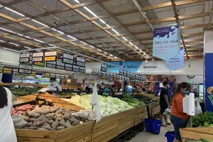 Hơn 84% doanh nghiệp ở Cần Thơ đã phục hồi sản xuất 