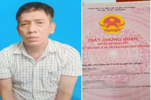 Cần Thơ bắt nhóm giả mua nhà, đất để tráo giấy hồng rồi lừa khắp miền Tây