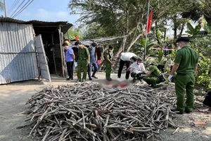 Bị la mắng, con trai nhẫn tâm sát hại mẹ ruột ngày giáp Tết