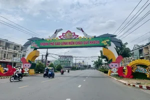 Đồng Tháp: Xử nghiêm hành vi trục lợi từ đấu giá đất