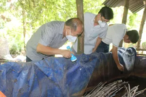 Đồng Tháp đẩy mạnh công tác phòng chống dịch sốt xuất huyết