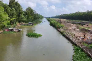Xây sân đua bò 20.000m2 không phép tại Điểm du lịch rừng tràm Trà Sư