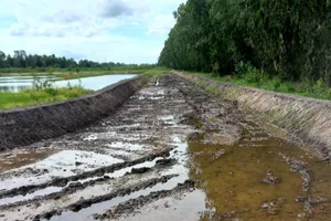 Tỉnh An Giang chỉ đạo kiểm tra, xử lý vụ xây sân đua bò 2 ha không phép 