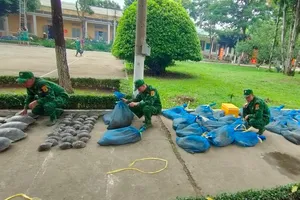 An Giang: Phát hiện vụ vận chuyển 94 cá thể kỳ đà, rùa 