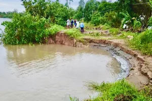 Vĩnh Long đầu tư 17 tỉ gia cố khẩn cấp nhiều đoạn bờ bao sạt lở