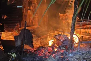 Ảnh minh họa vụ cháy. Ảnh: HD