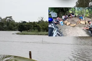 Vây bắt tụ điểm đá gà ở khu đất trống giữa cánh đồng mùa nước nổi