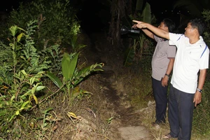 Sạt lở nghiêm trọng, 12 căn nhà rơi xuống sông Cổ Chiên