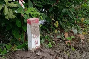 Hoàn thành cắm cọc GPMB dự án thành phần 1 cao tốc Cao Lãnh - An Hữu trong tháng 12