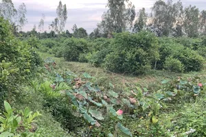 Bắt nghi can giết xe ôm cướp tài sản ở An Giang