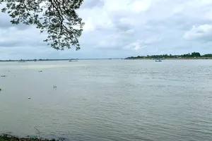 Cử tri An Giang kiến nghị xây cầu Vàm Nao và Tân Châu - Hồng Ngự