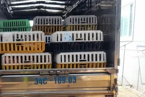 Đồng Tháp xử lý hành vi bao che buôn lậu động vật qua biên giới