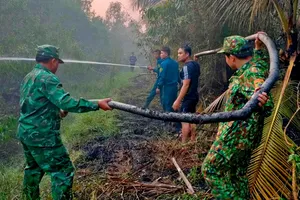 Đốt gốc rạ, cháy sang rừng tràm 