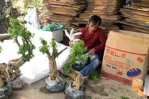 Đồng Tháp bảo tồn 16 làng nghề có nguy cơ mai một