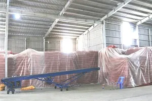 2 anh em bắt tay buôn lậu hàng trăm tấn đậu xanh