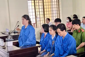 Hiệu trưởng và kế toán 'bắt tay' tham ô, mua bán trái phép hóa đơn