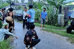 Rủ nhau tắm hồ, 3 trẻ ở Trà Vinh đuối nước thương tâm