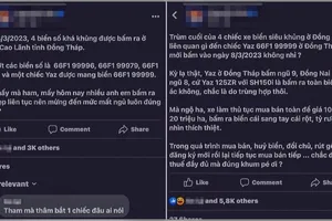 Chuyển Cơ quan điều tra vụ bấm các biển số đẹp ở Công an huyện Cao Lãnh