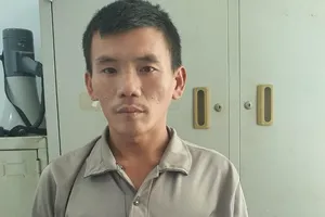 Làm giấy giả bán ô tô khi đã thế chấp cho ngân hàng 