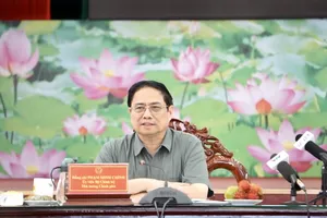 Thủ tướng họp bàn giải pháp khắc phục sạt lở cho Đồng bằng sông Cửu Long