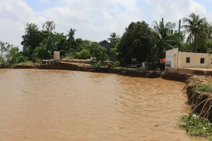 Đồng Tháp: Sạt lở bờ sông Tiền ngày càng nghiêm trọng 