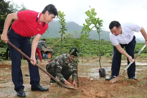 Agribank khu vực Tây Nam bộ tặng cây giống cho bà con Quảng Nam