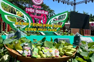 Phát huy giá trị cộng đồng của mô hình Hội quán ở vùng đất Sen hồng