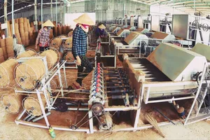 Doanh nghiệp sản xuất sơ dừa tại Trà Vinh được sự hỗ trợ của dự án SME