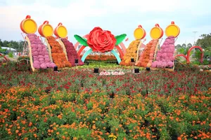 Tưng bừng Festival Hoa - Kiểng Sa Đéc