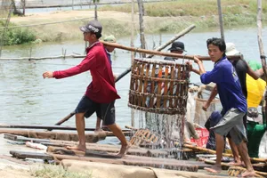 Quy hoạch tỉnh Đồng Tháp: Cá tra sẽ là ngành kinh tế nông nghiệp chủ lực của tỉnh 