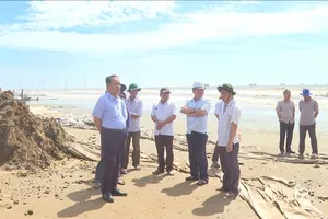 Nguy cơ vỡ bờ bao ngăn triều, Trà Vinh công bố tình huống khẩn cấp sạt lở Cồn Nhàn