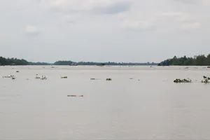 Vĩnh Long phê duyệt đánh giá tác động môi trường mỏ cát hơn 1 triệu m3 cho cao tốc