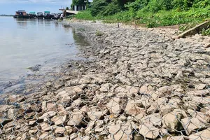 Kiến nghị chuyển công an điều tra việc chỉ định thầu cho công ty không đảm bảo năng lực