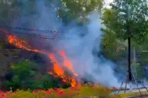 Kiên Giang cấp bách phòng, chữa cháy rừng