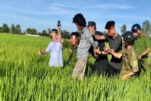 Bị chém tử vong khi đang nằm trên võng