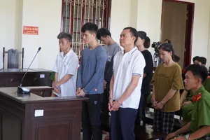 Tuyên án vụ giám đốc Trung tâm đăng kiểm ở Đồng Tháp nhận hối lộ