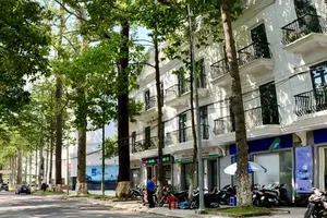 An Giang và nhiều tỉnh miền Tây rà soát dự án liên quan Công ty Cây xanh Công Minh