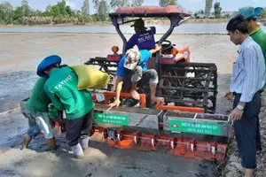 An Giang thực hiện chuyên canh lúa chất lượng cao, tỉ suất lợi nhuận đạt trên 50%