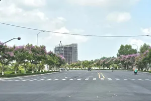 Công ty Cây xanh Công Minh trúng 4 gói thầu tại Vĩnh Long