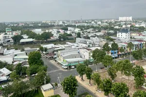 Công ty Cây xanh Công Minh trúng thầu hàng chục tỉ đồng tại Đồng Tháp