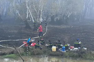 Đã dập tắt được đám cháy ở Vườn quốc gia Tràm Chim Đồng Tháp