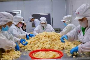 Kinh tế tỉnh Đồng Tháp có nhiều điểm sáng, nhiều mô hình sản xuất nông nghiệp hiệu quả